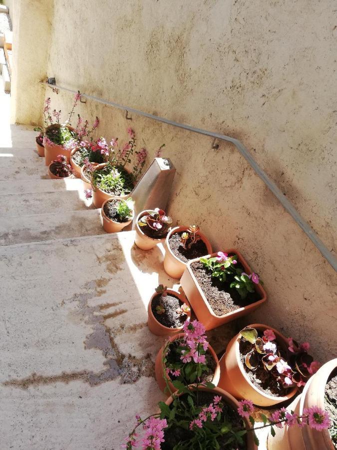 La Terrasse Βίλα Gignac  Εξωτερικό φωτογραφία